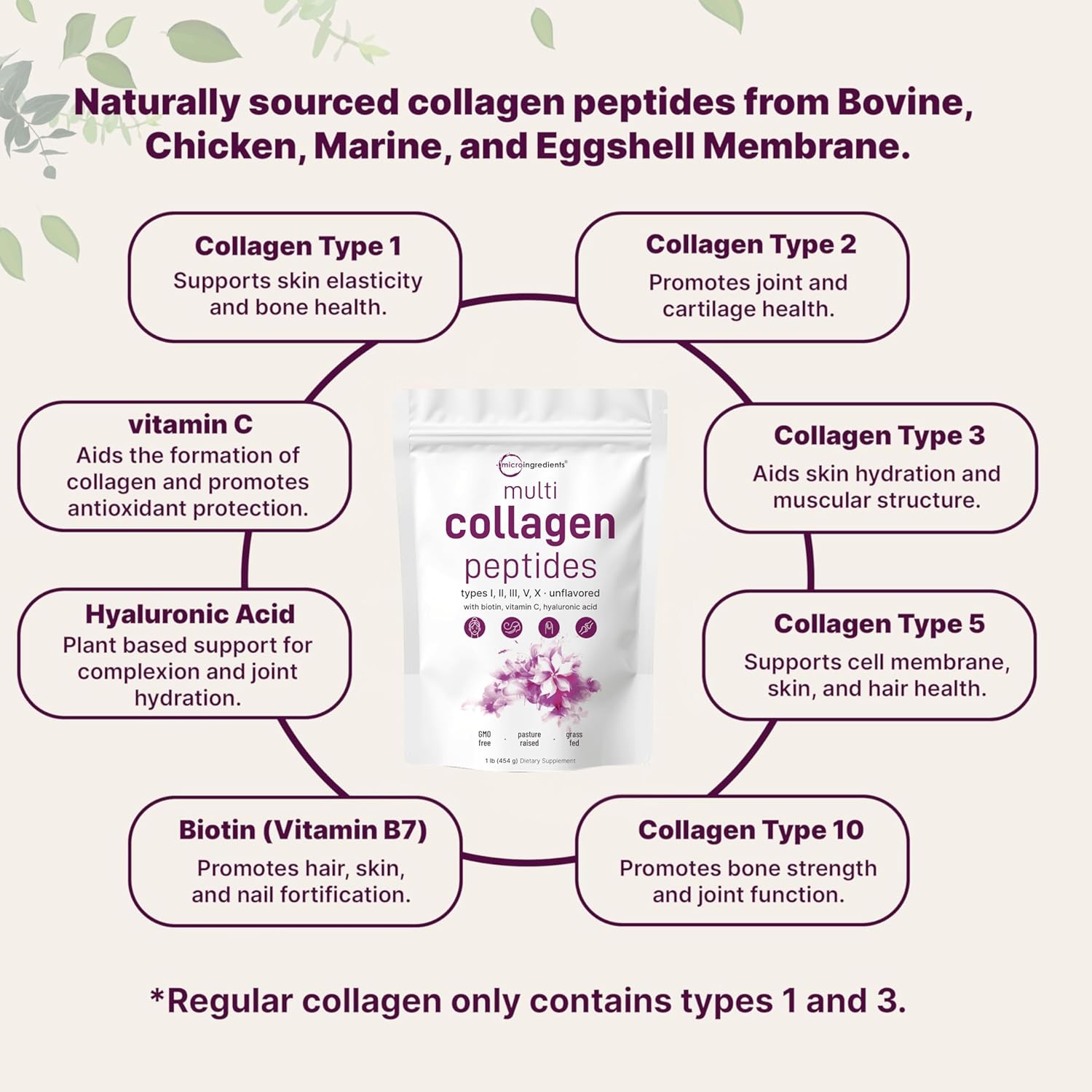 ✨ Multi Collagen Peptides Powder – Micro Ingredients 2